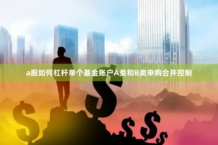 a股如何杠杆单个基金账户A类和B类申购合并控制