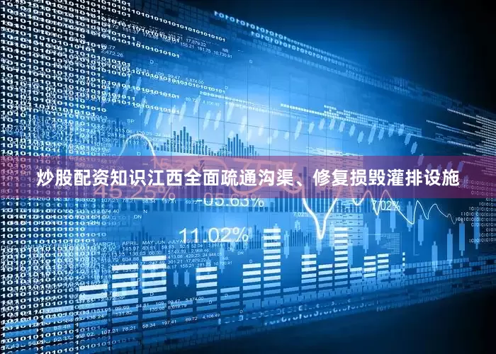 炒股配资知识江西全面疏通沟渠、修复损毁灌排设施