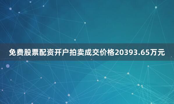 免费股票配资开户拍卖成交价格20393.65万元